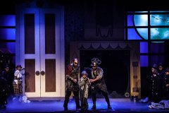 pequeno_deshollinador_puebla_02