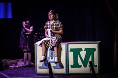 pequeno_deshollinador_puebla_10