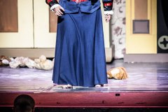 pequeno_deshollinador_puebla_12